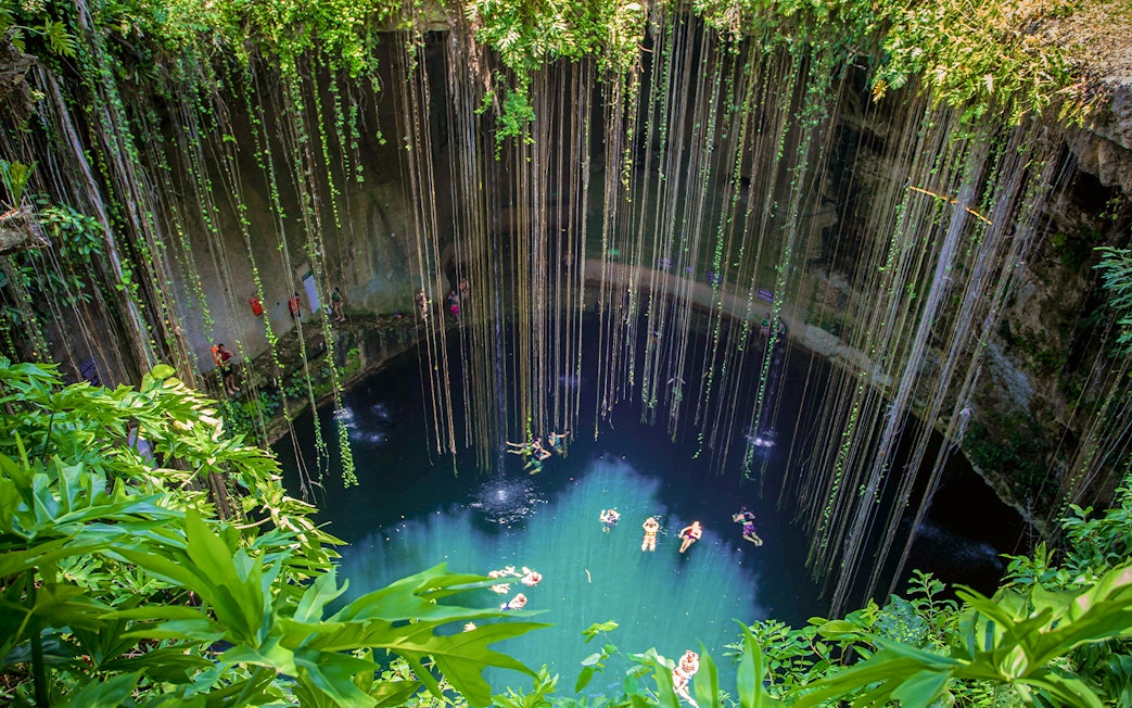 Cenote with swimmers and hanging roots in Yucatan Peninsula, near Chichen Itza, Central America.