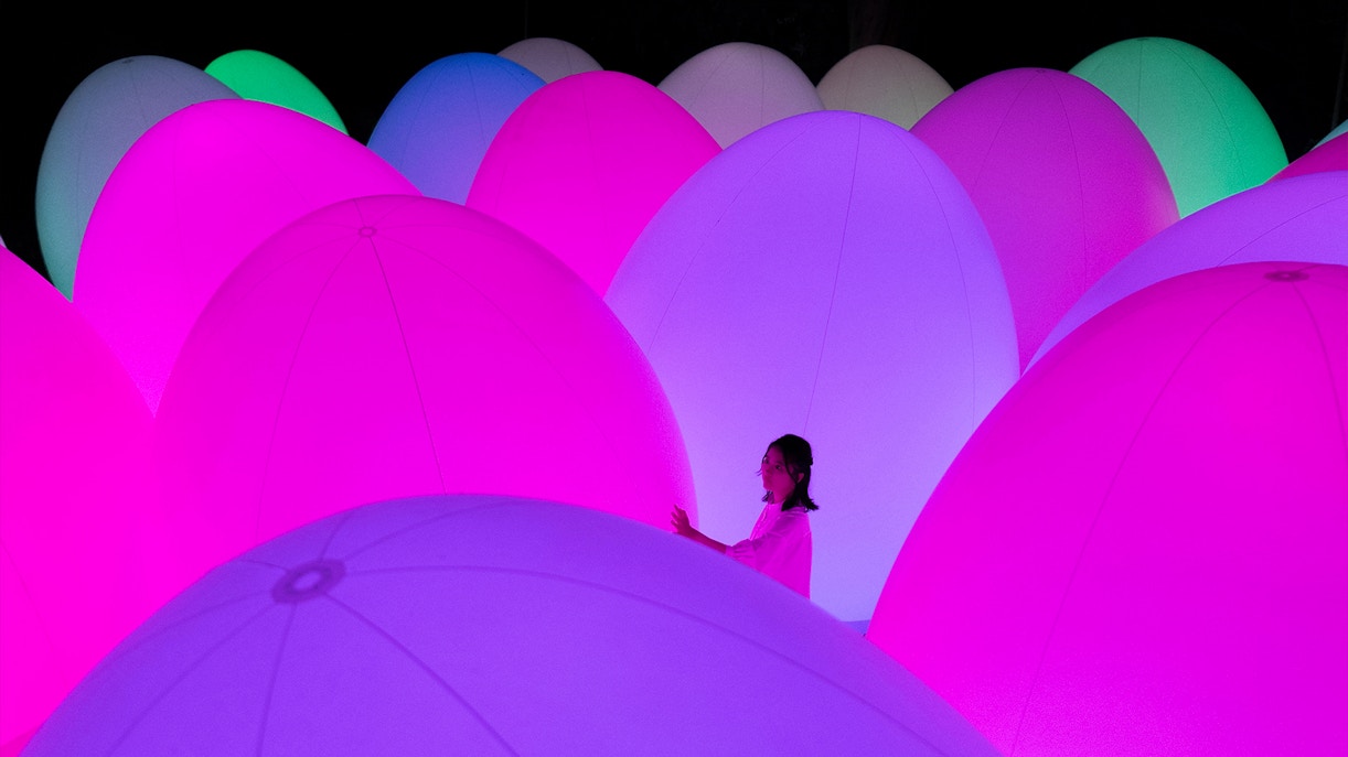 teamLab Botanical Garden - Tips