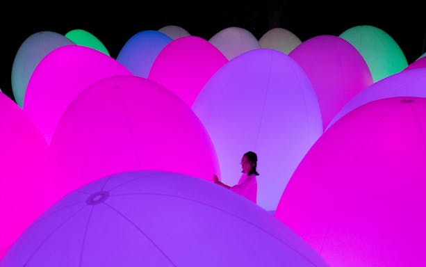 Visitors at teamLab Botanical Garden, Osaka, Japan, experiencing vibrant digital art displays.