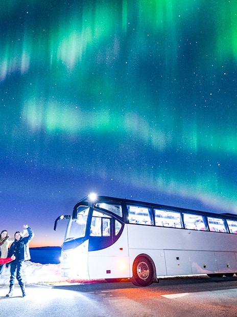 Tourists near a bus under Northern Lights in snowy landscape.
