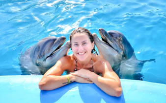 Person enjoying a private dolphin interaction at Dolphin World.