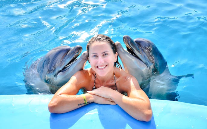 Person enjoying a private dolphin interaction at Dolphin World.