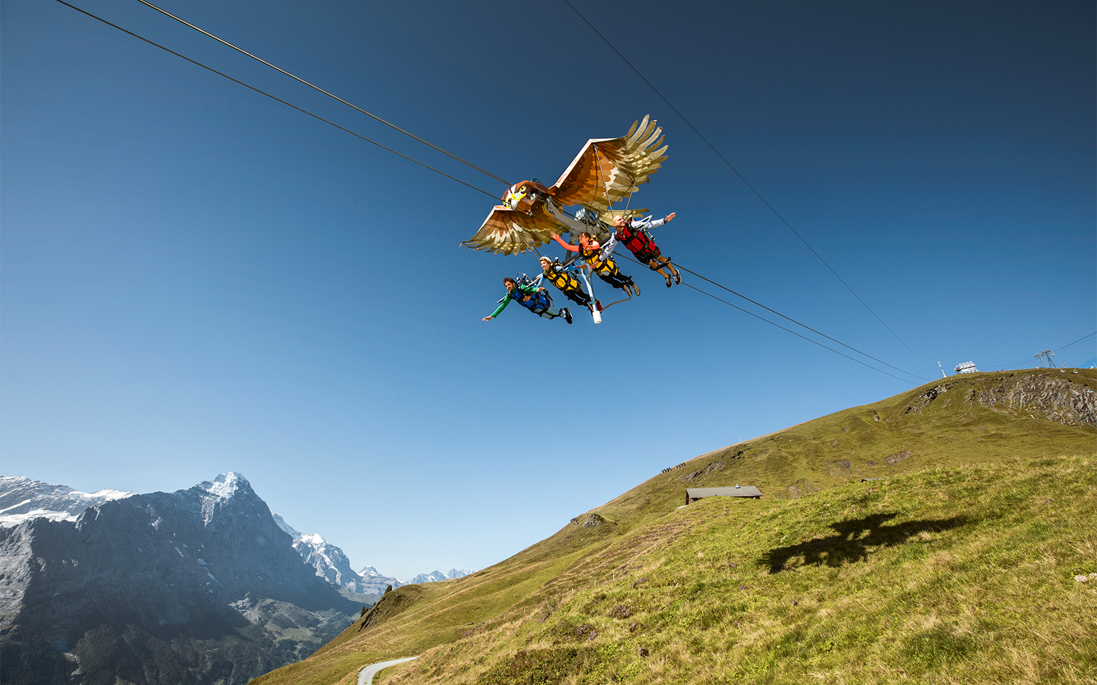 Grindelwald First glider soaring over Swiss Alps with scenic mountain views.