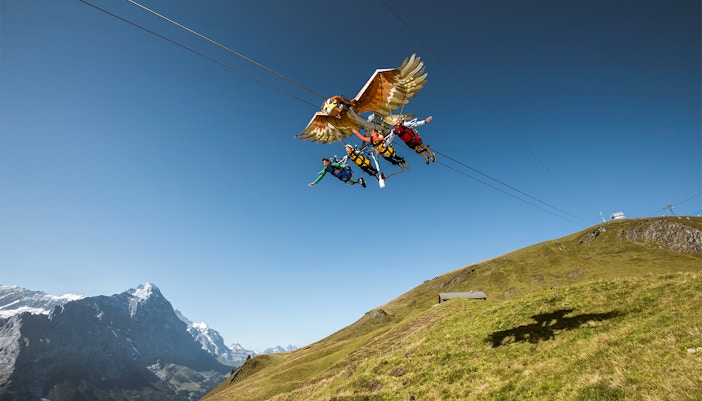 Grindelwald First glider soaring over Swiss Alps with scenic mountain views.