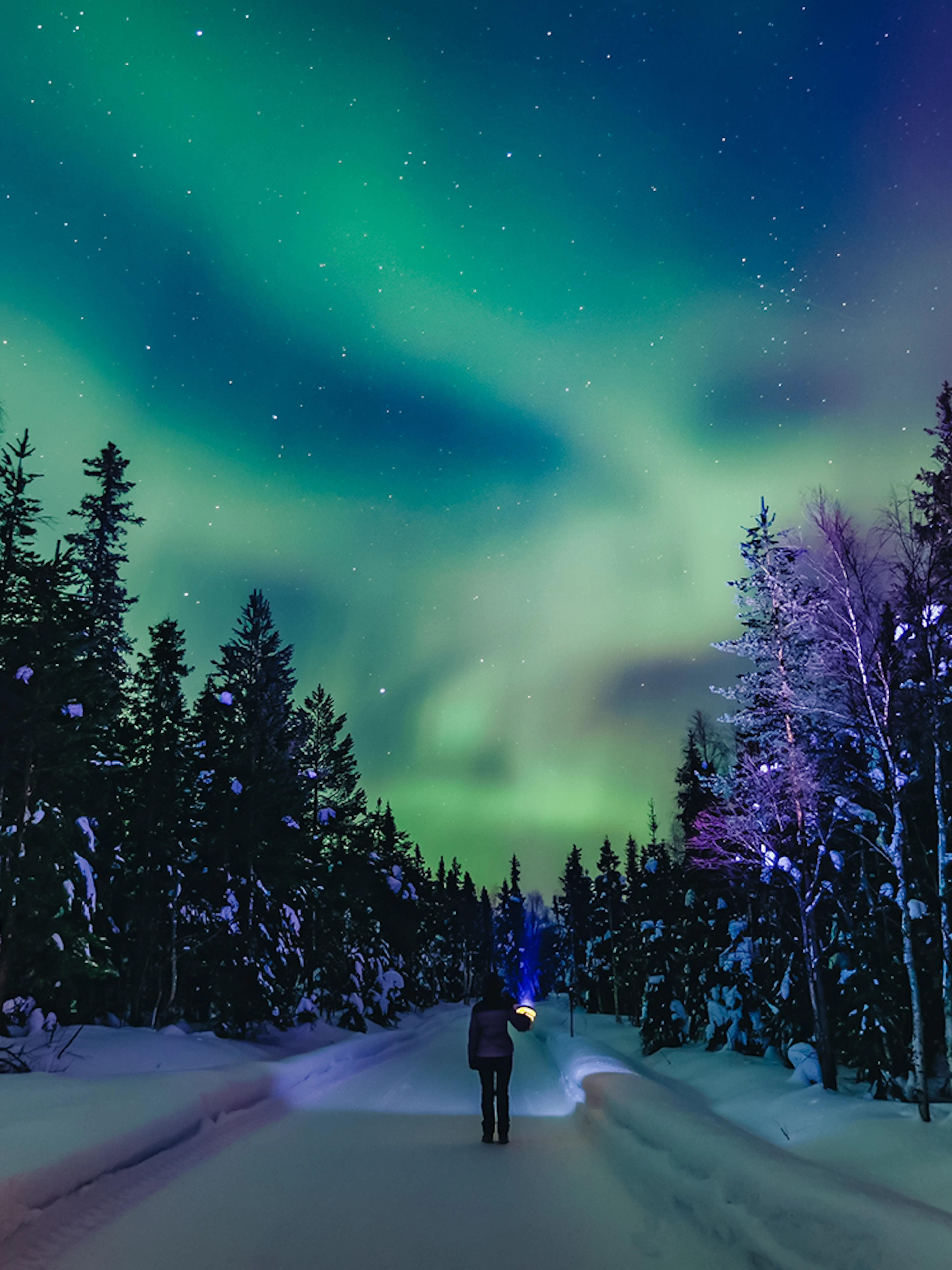 Person viewing Northern Lights in snowy forest, Finland.