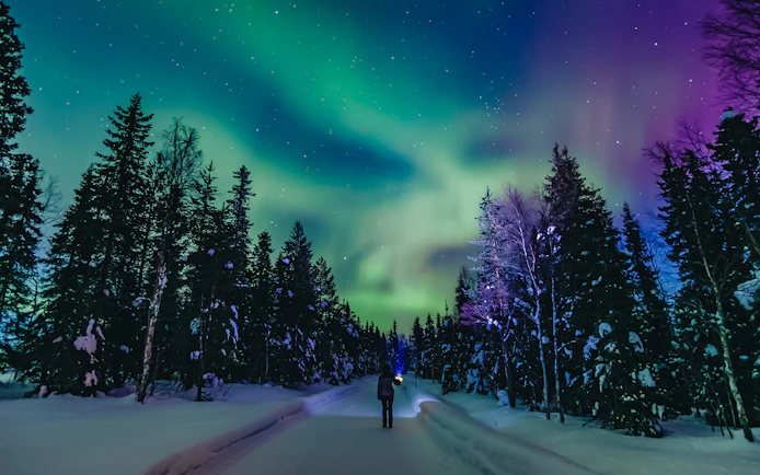 Person viewing Northern Lights in snowy forest, Finland.