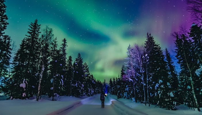 Person viewing Northern Lights in snowy forest, Finland.