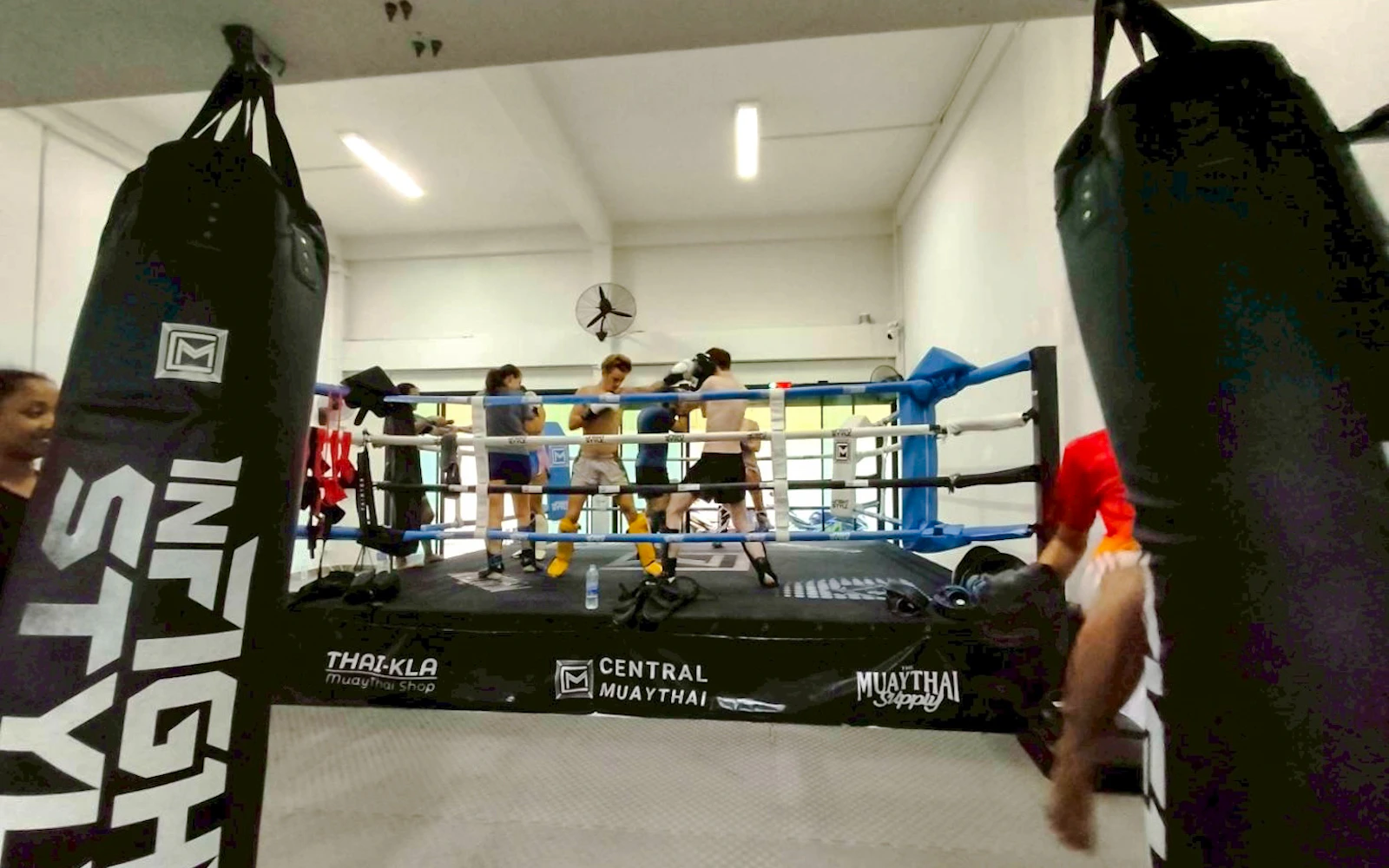 Chiang Mai Muay Thai Boxing Introduction Class Image 3