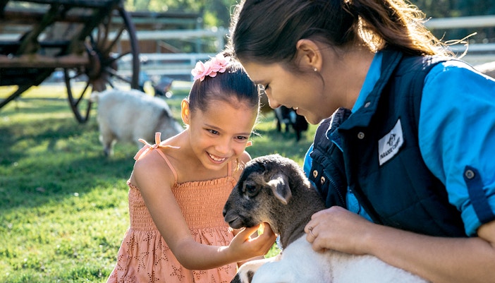 A girl petting a lamb at the Farmyard Nursery, Paradise Country, Gold Coast