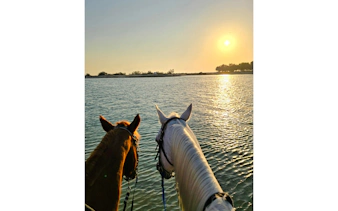 dubai beach horse riding with private picnic for two-8