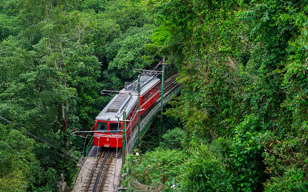 Red train traveling through lush Tijuca Forest in Rio de Janeiro.