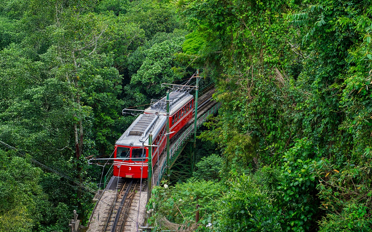 Red train traveling through lush Tijuca Forest in Rio de Janeiro.
