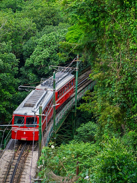 Red train traveling through lush Tijuca Forest in Rio de Janeiro.