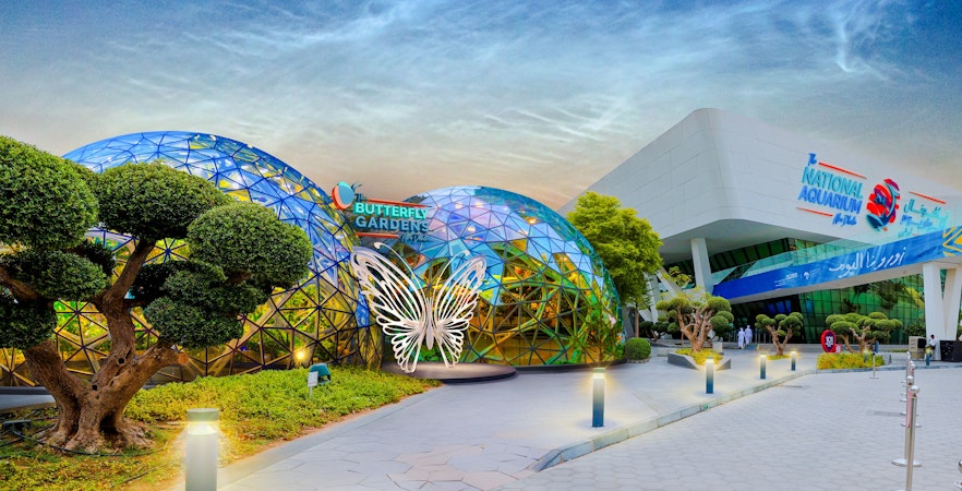 The Butterfly Gardens Abu Dhabi