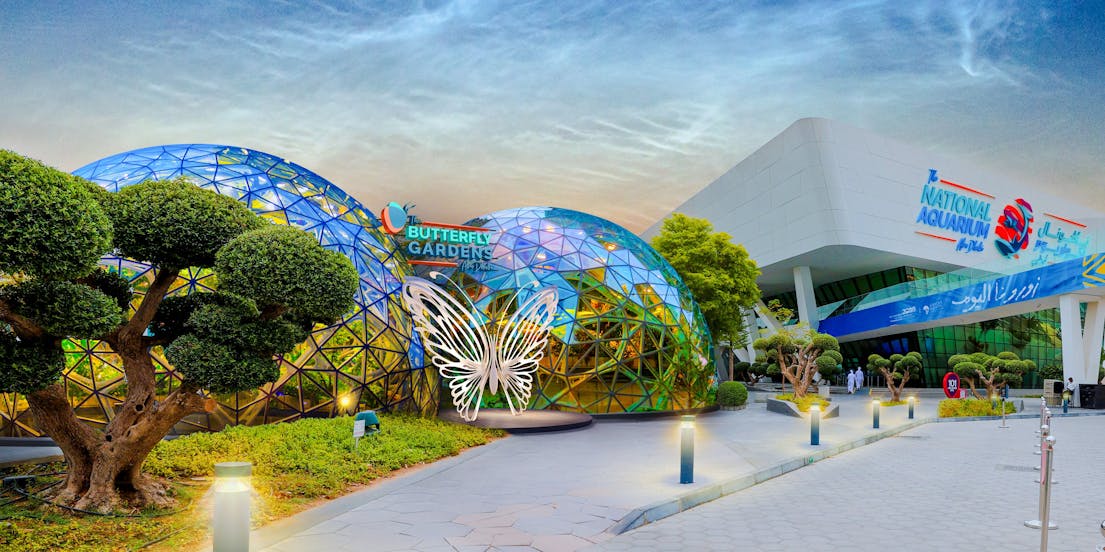 Butterfly Gardens Abu Dhabi