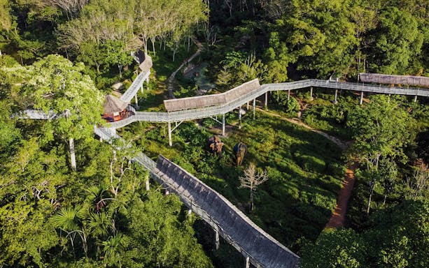 Canopy walkway above lush greenery at Phuket Elephant Sanctuary, Thailand.