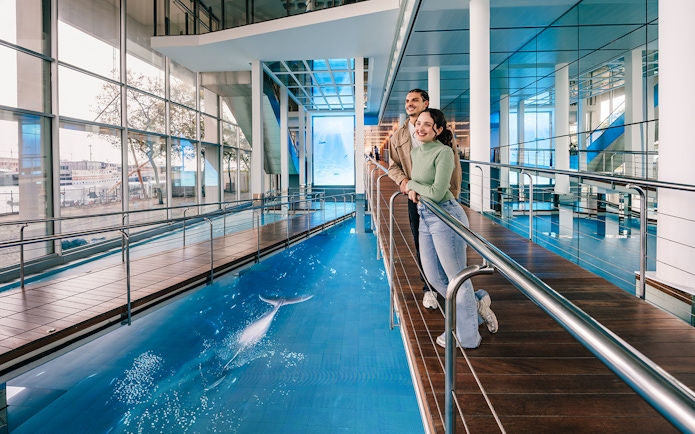 Tourists enjoying the view of the aquarium pool at Barcelona Aquarium.