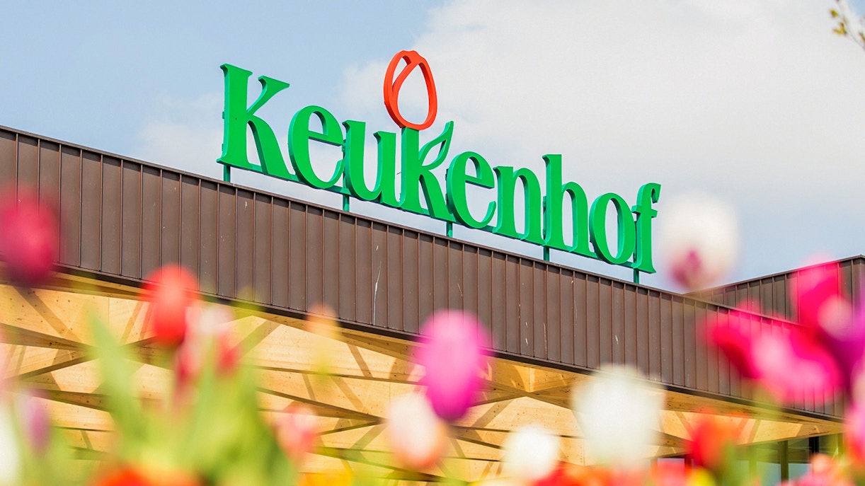 visit keukenhof