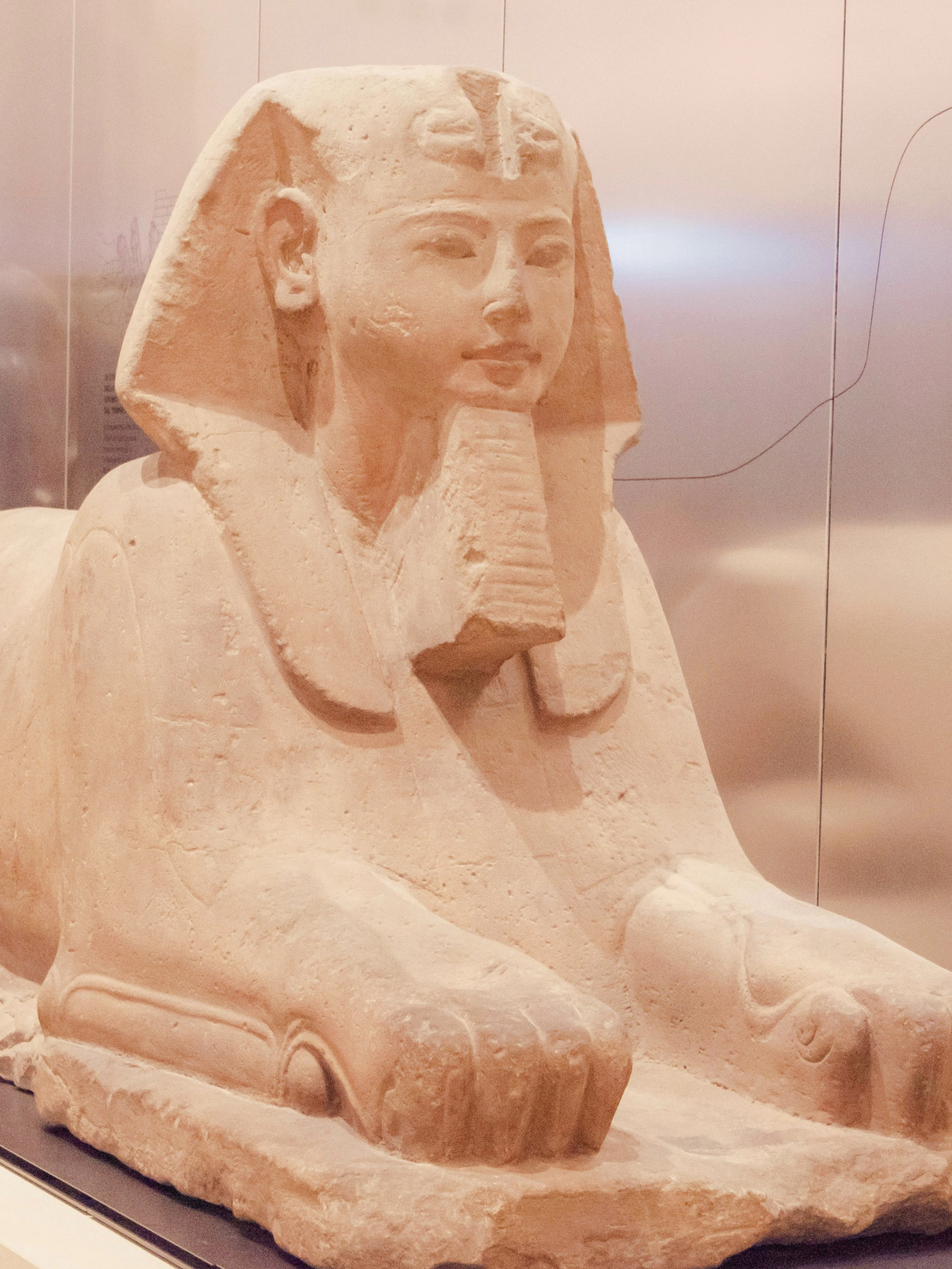 Sphinx statue at Museo Egizio, Turin, Italy.