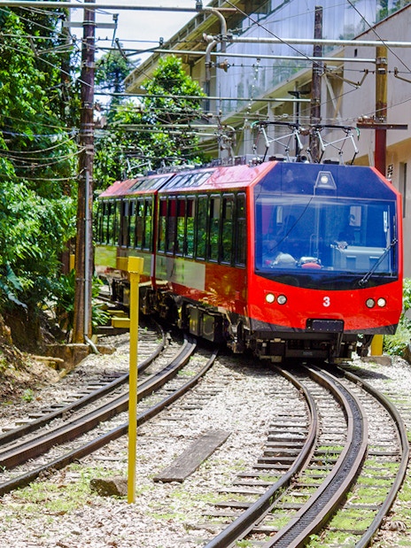 Red train on tracks surrounded by greenery, heading to Christ the Redeemer in Rio de Janeiro.