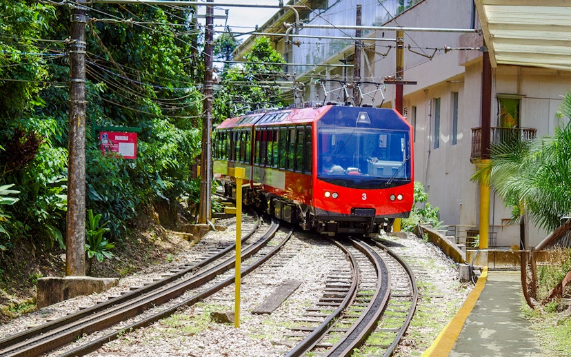 Red train on tracks surrounded by greenery, heading to Christ the Redeemer in Rio de Janeiro.