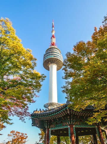 Namsan Seoul Tower rising above colorful autumn trees in Seoul, South Korea.