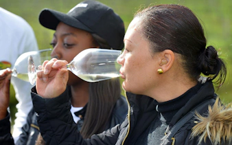 Tourists tasting wine at a vineyard in Constantia, South Africa.