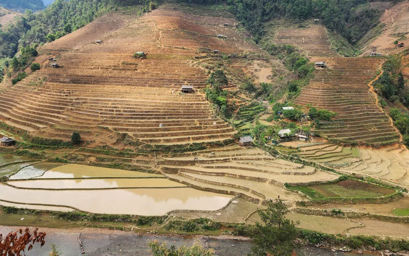 Terraced rice fields in Mu Cang Chai, Vietnam, viewed during a private car tour with a local guide.