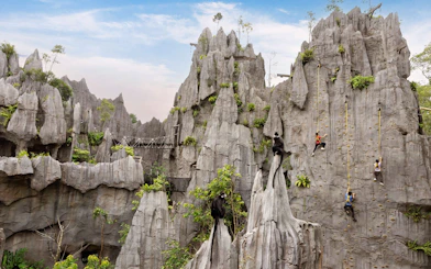 Climbers scaling rock wall at Rainforest Wild Adventure with monkeys on nearby peaks.