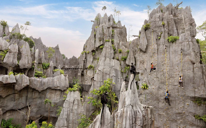 Climbers scaling rock wall at Rainforest Wild Adventure with monkeys on nearby peaks.
