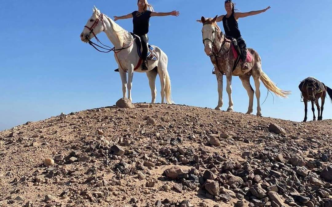 aventure équestre premium de 3 heures avec baignade - hurghada-4