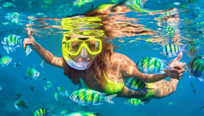 Things To Do in Phi Phi Island - Snorkel at Shark Point