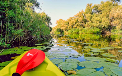 Kayak on Lake Skadar surrounded by lush greenery and lily pads.