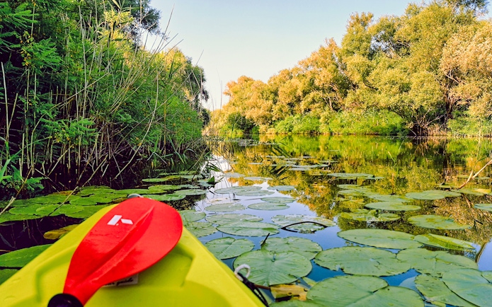 Kayak on Lake Skadar surrounded by lush greenery and lily pads.