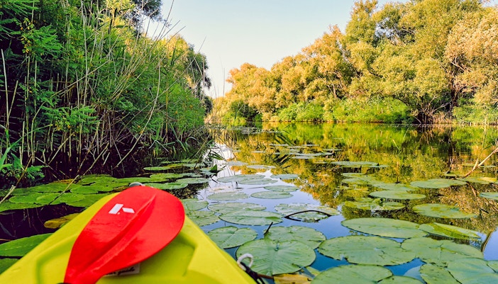 Kayak on Lake Skadar surrounded by lush greenery and lily pads.
