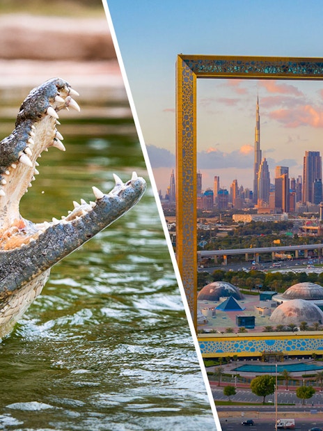 Crocodile in water and Dubai Frame with city skyline in background.