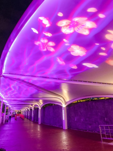 Illuminated walkway with floral projections leading to Oriental Pearl Tower cruise port, Shanghai.