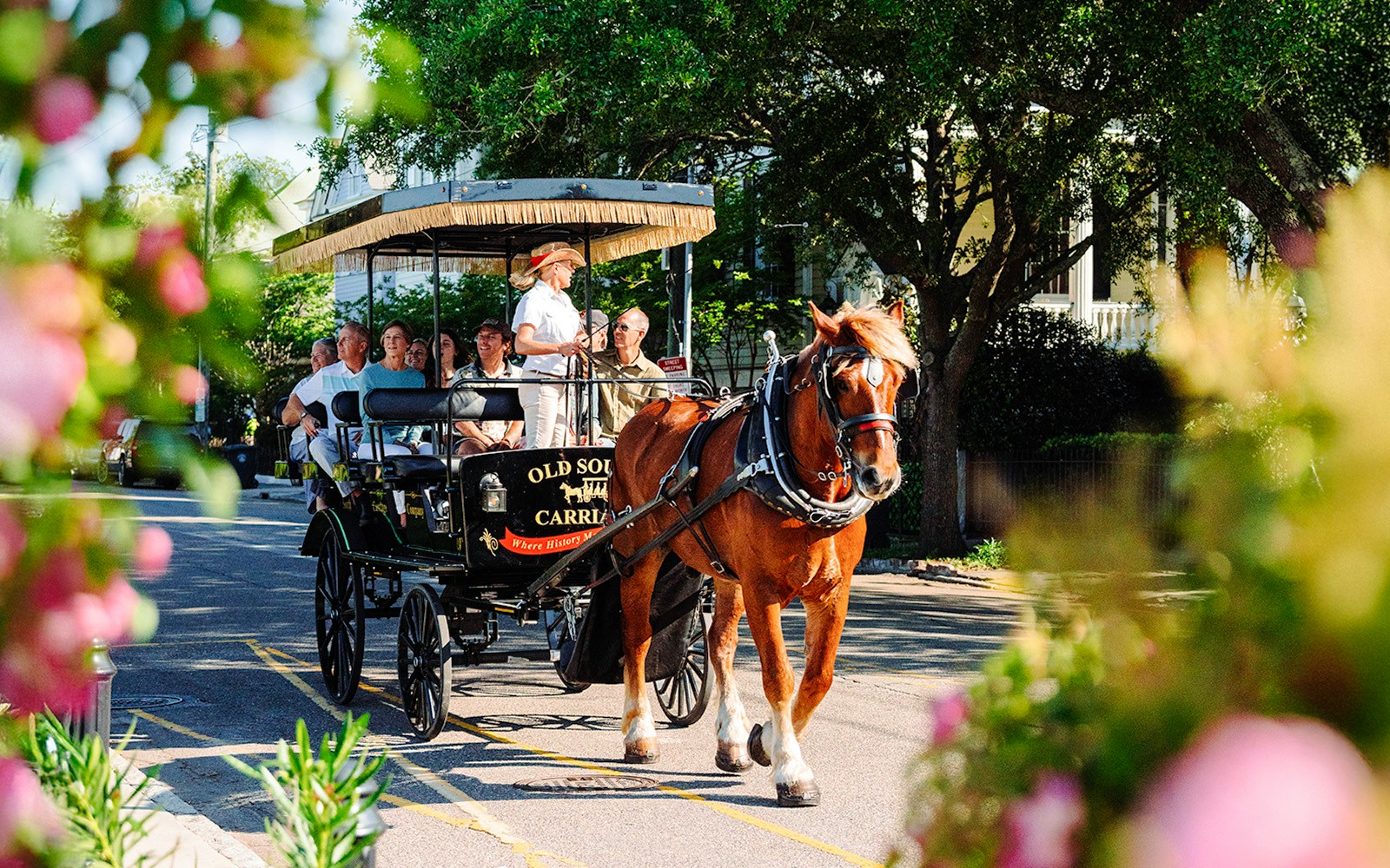 Charleston horse-drawn carriage tour with passengers on a tree-lined street.