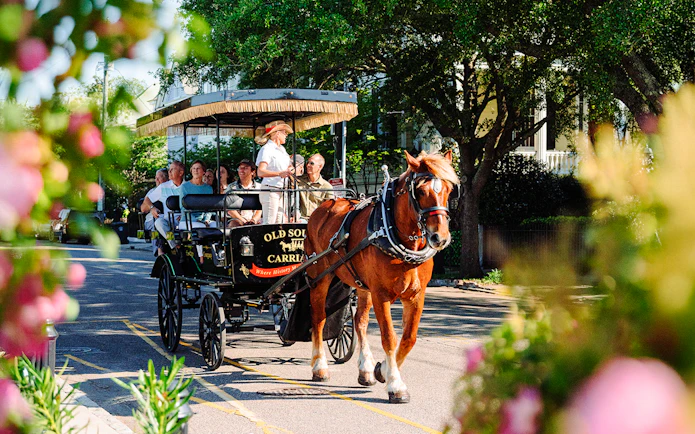 Charleston horse-drawn carriage tour with passengers on a tree-lined street.