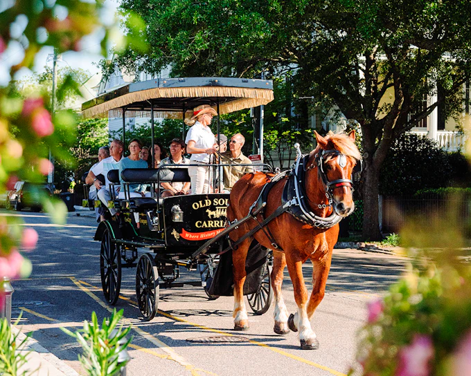 Charleston Historical Downtown Tour by Horse-drawn Carriage
