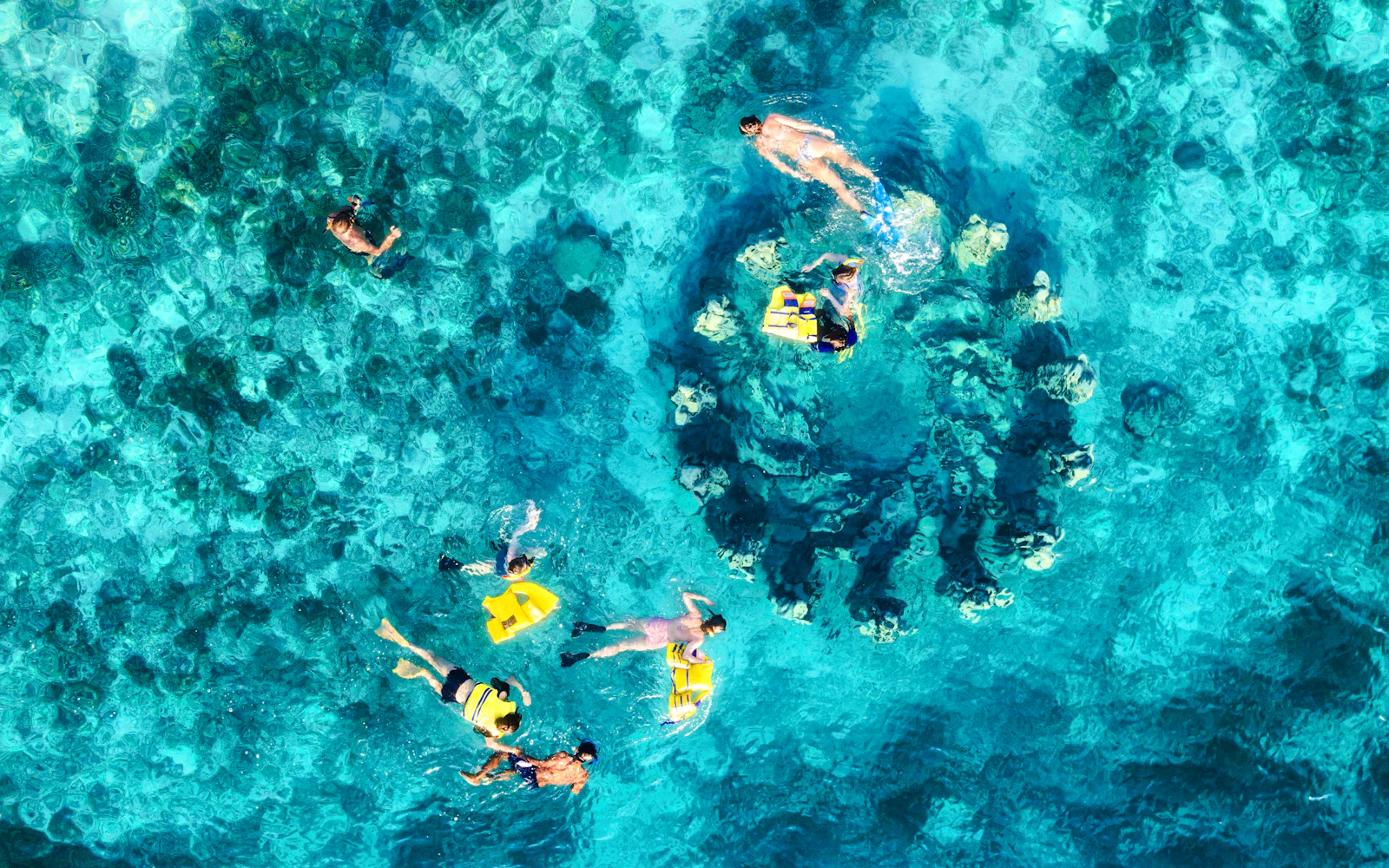From Gili Trawangan: Gili Islands Small-Group Snorkeling Boat Tour Image 3