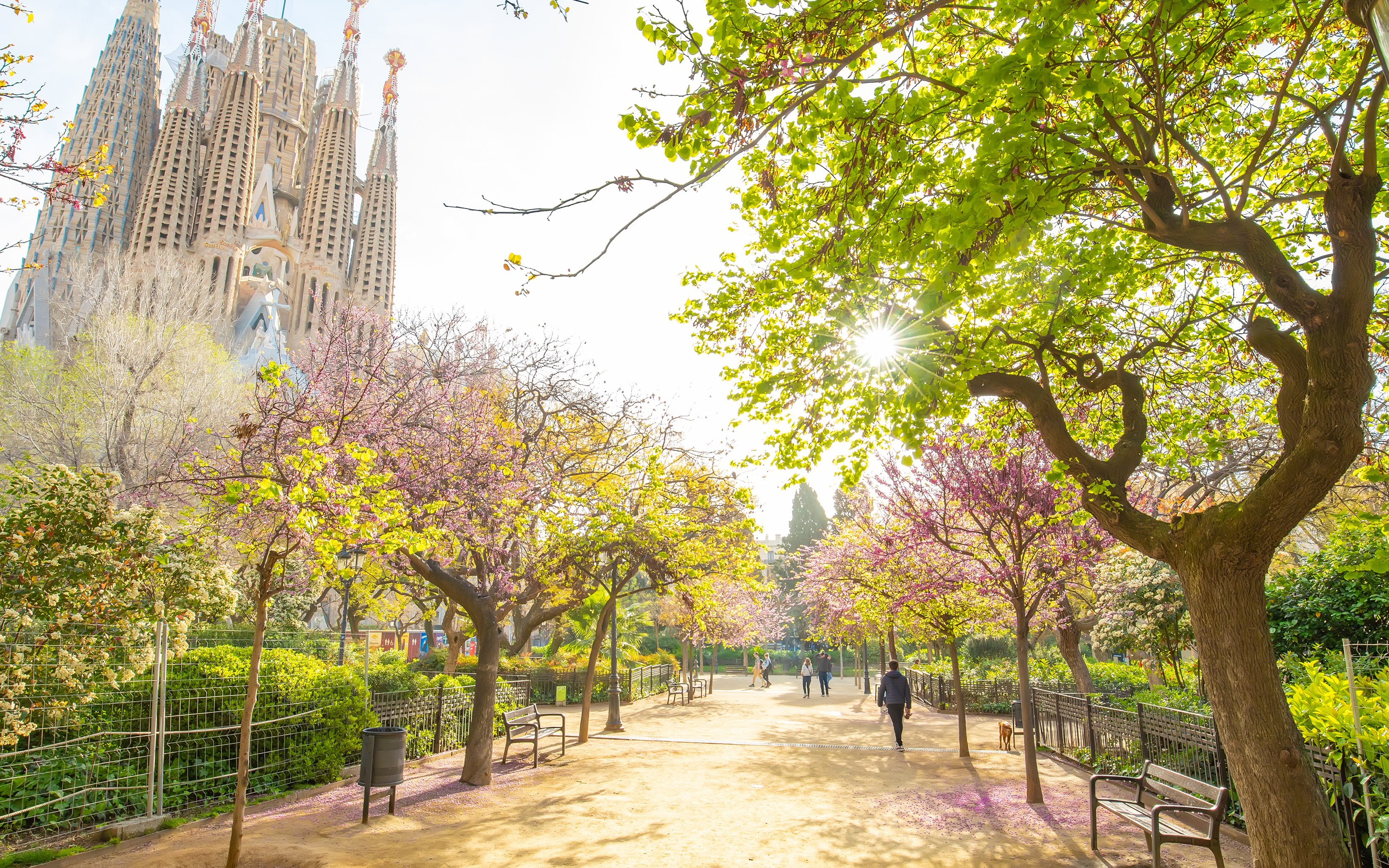 Blooming garden near Sagrada Familia in Barcelona with people walking.