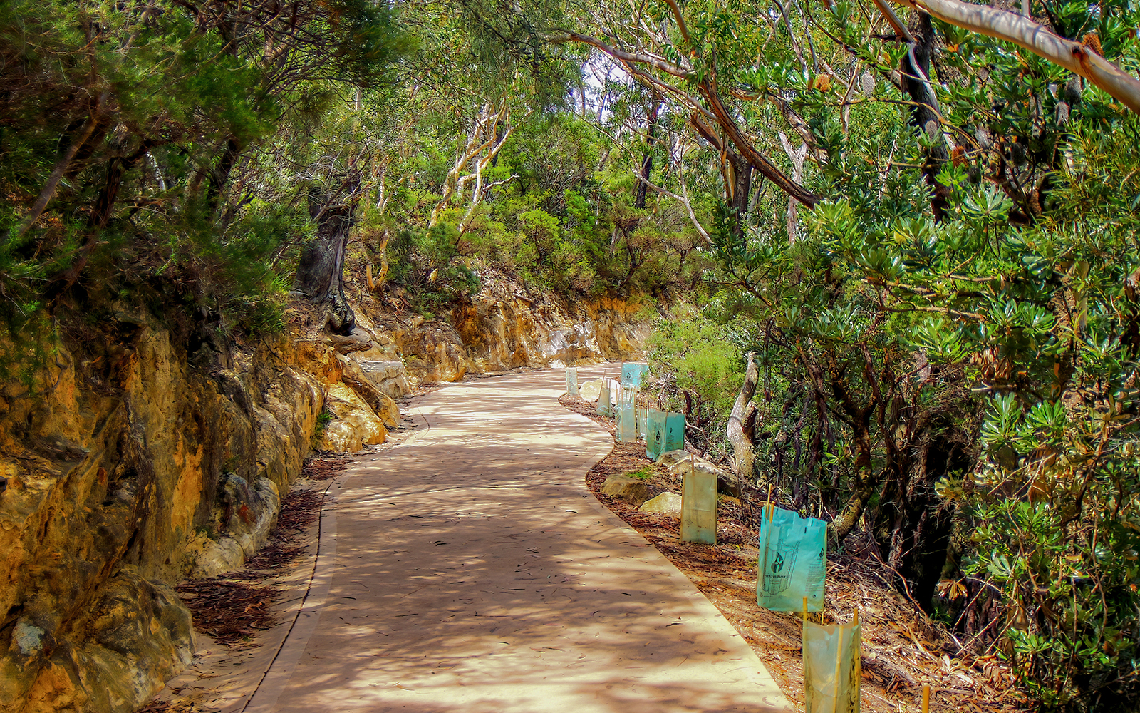 Blue Mountains tickets