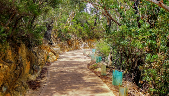 Blue Mountains tickets