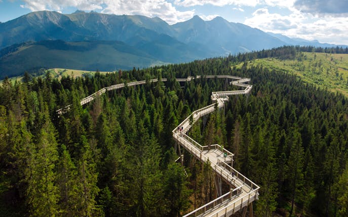 Treetop walkway winding through forest with mountain views in Slovakia.