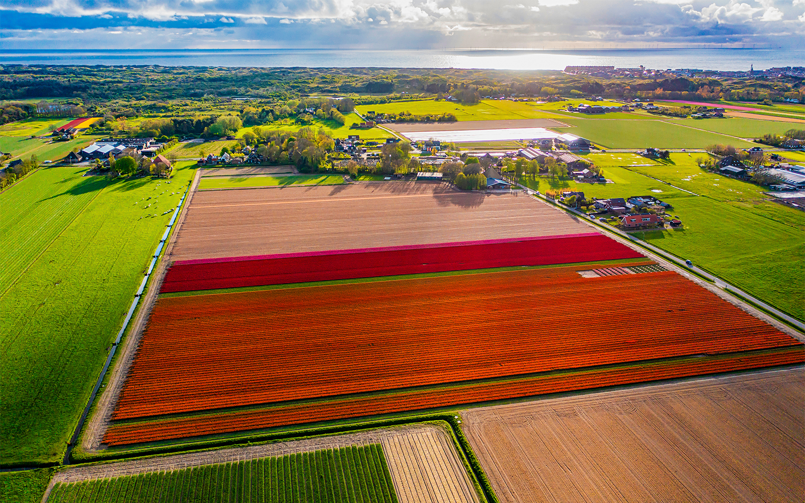 Helicopter ride over tulip farms with Amsterdam skyline and North Sea in view.