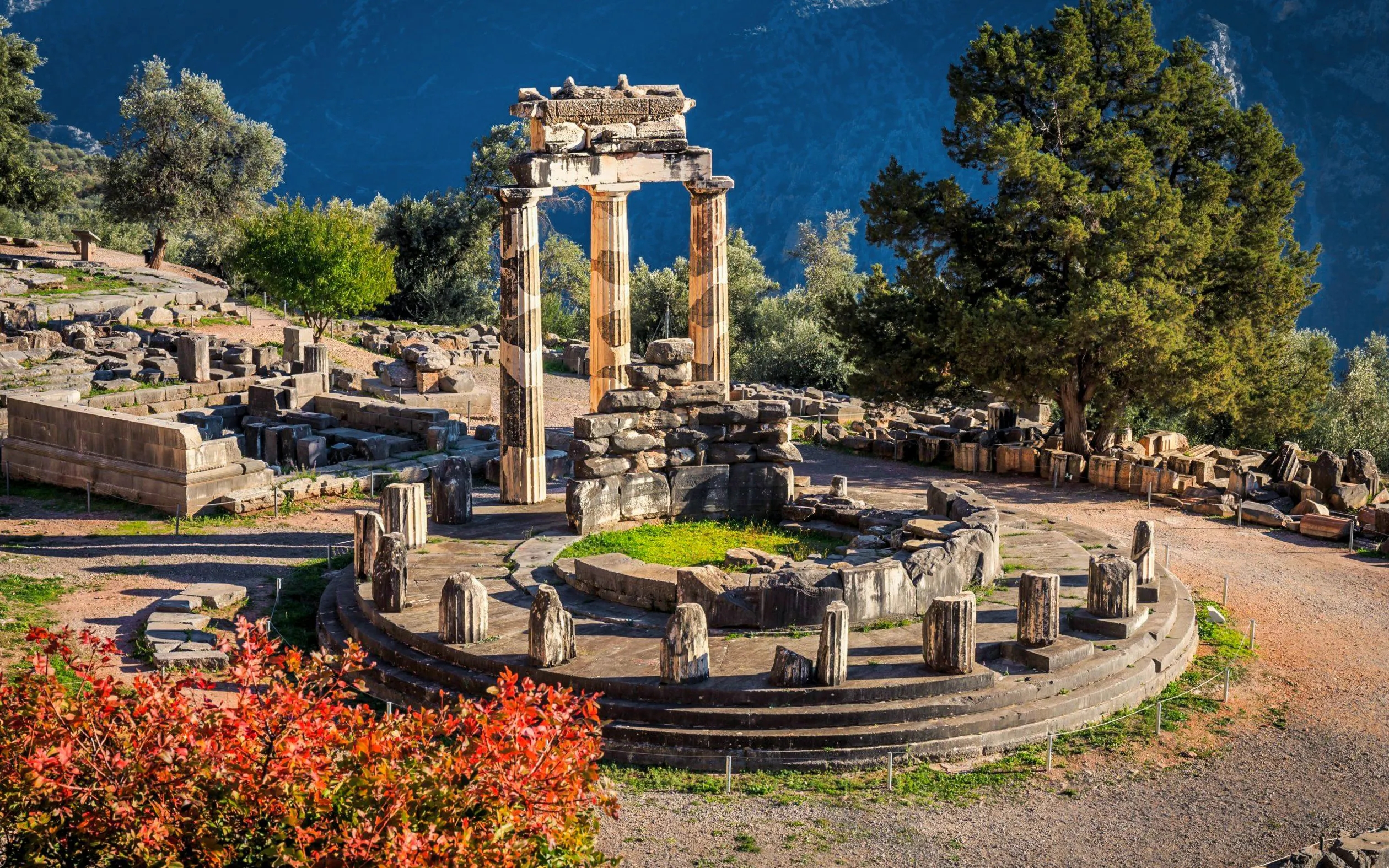 Tholos of Delphi ruins surrounded by trees at Delphi Archaeological Site, Greece.