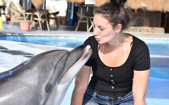 premium 10 minutes dolphin swimming experience - hurghada-5