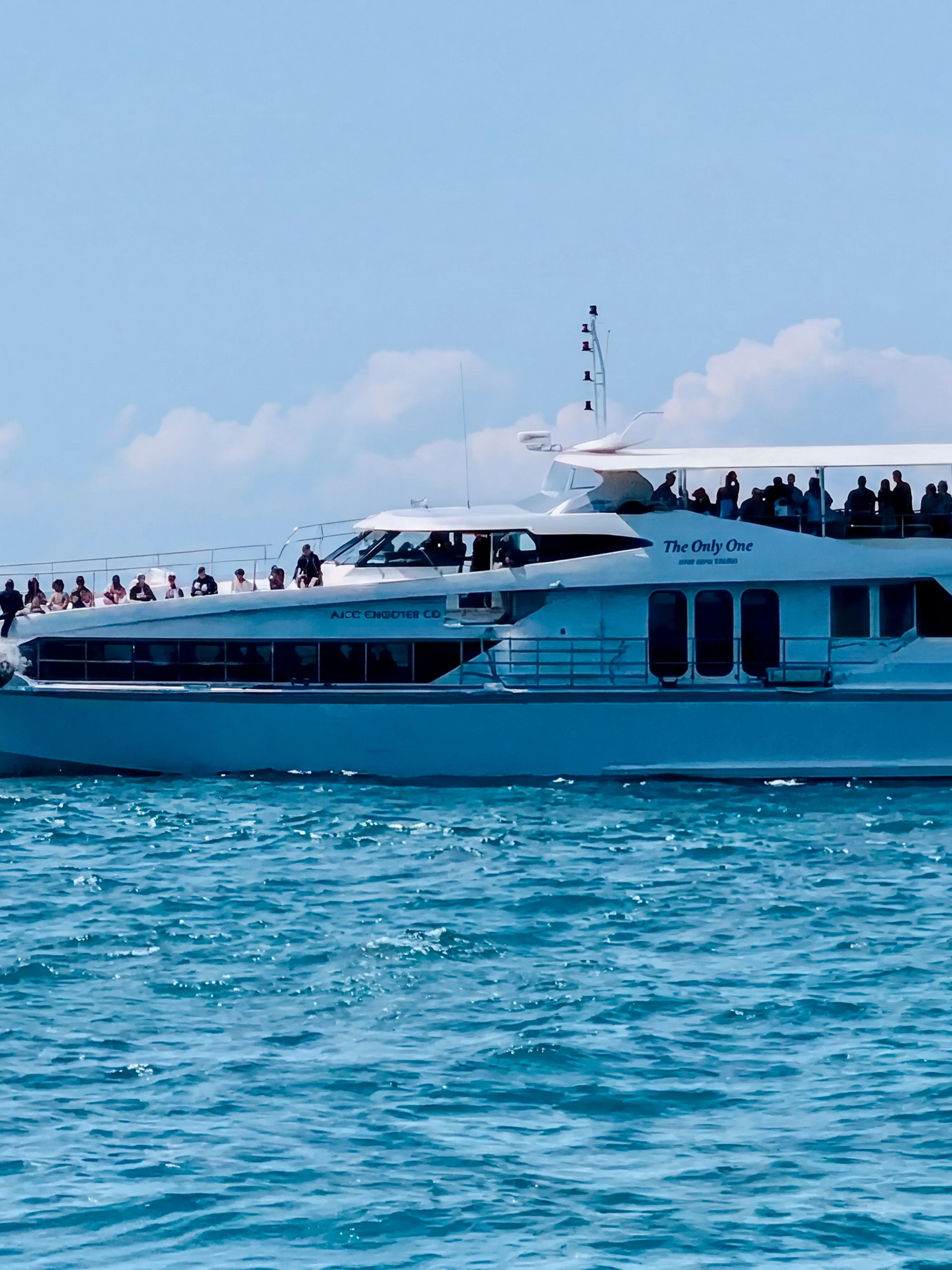 Luxury yacht with tourists watching a whale breach in Gold Coast waters.