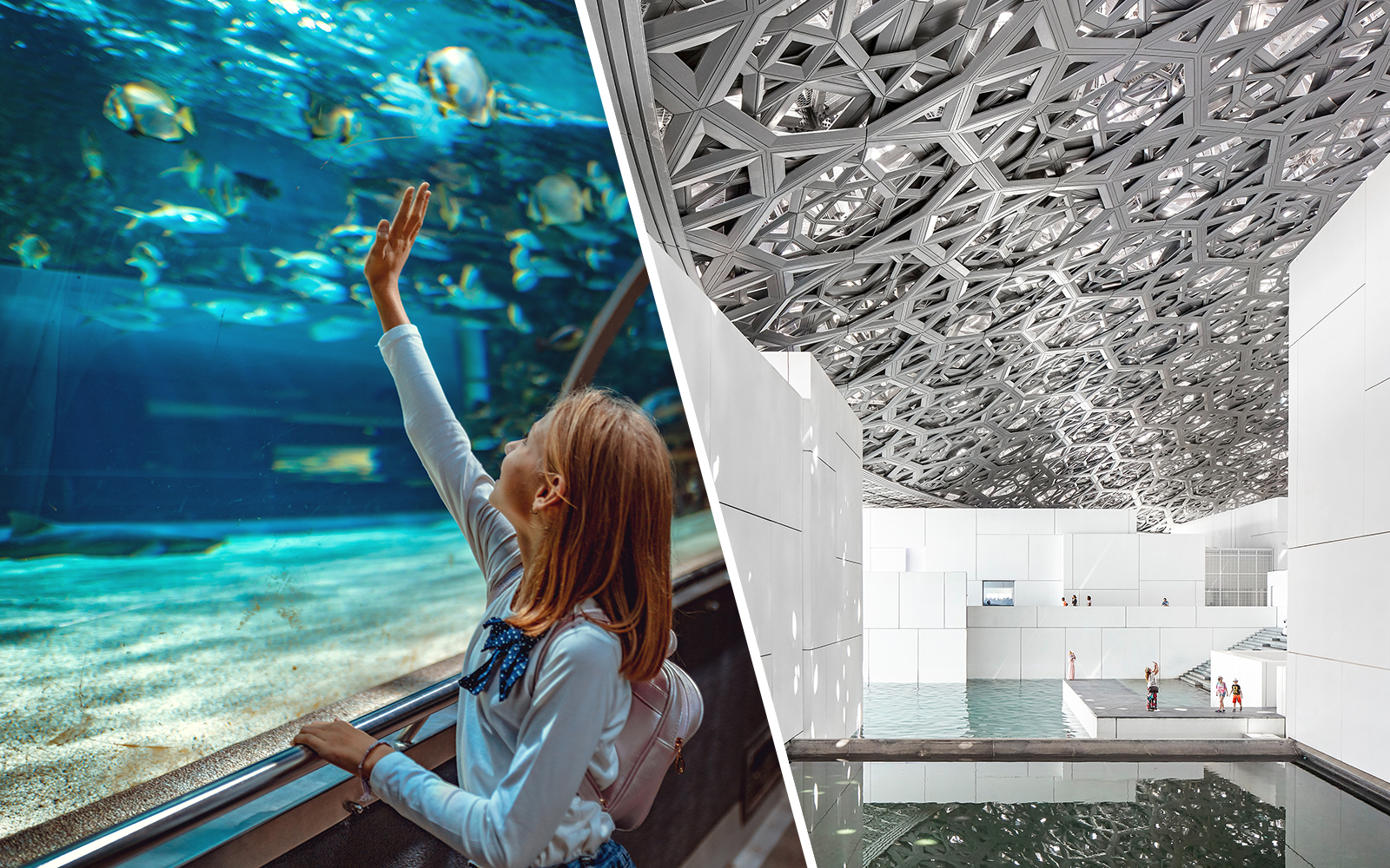 Combo (Save 18%): National Aquarium Abu Dhabi + Louvre Museum Skip-the-Line Tickets